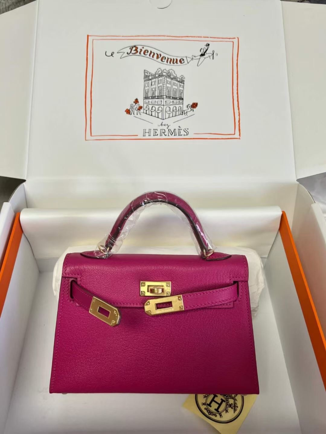 H**me5 mini kelly chèvre 19 19×6×12cm