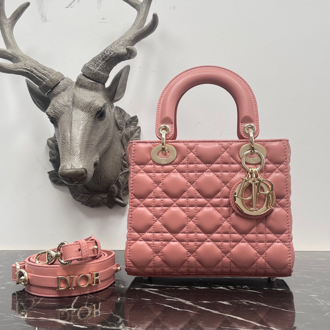 small lady D*or my abcD*or bag 8 x 6.5 x 3 inches